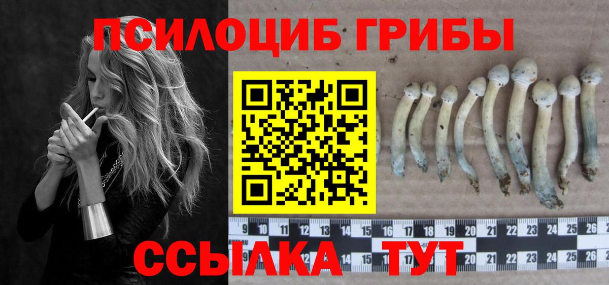 Рязань  Псилоцибиновые грибы Magic Shrooms  Вход с VPN 